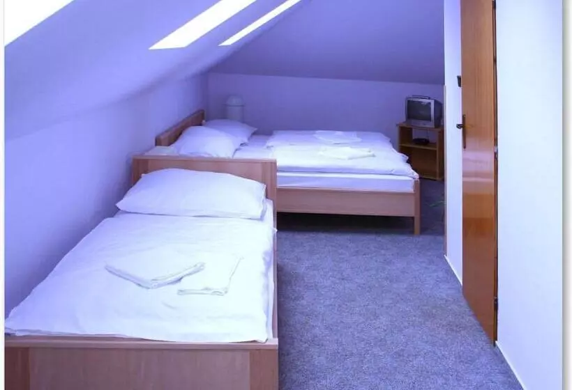 Fotos del hotel Pension Filip:  22