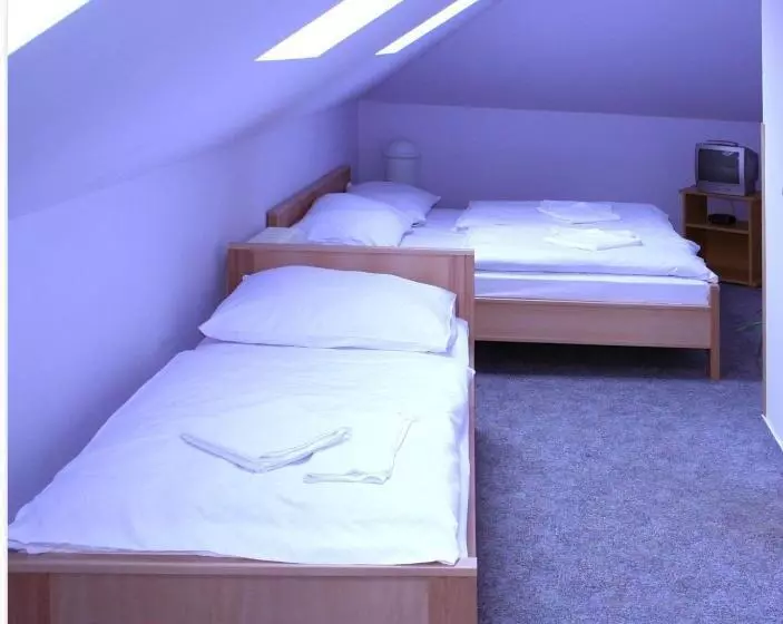 Fotos del hotel Pension Filip:  24