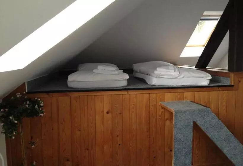 Fotos del hotel Pension Filip:  7