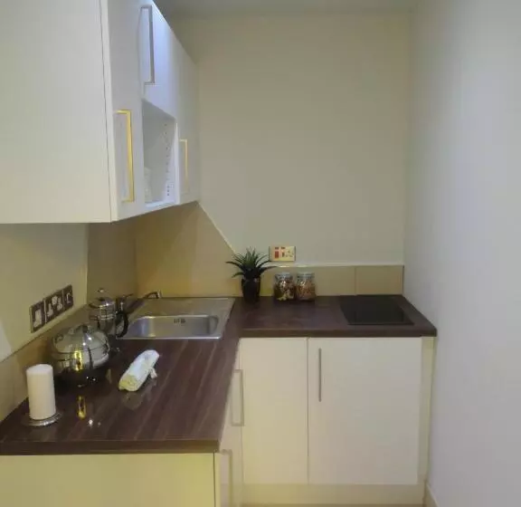 Fotos del hotel Palmerston Suites:  11