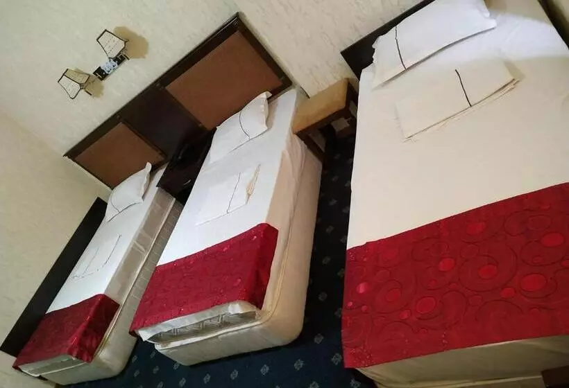 Fotos del hotel Consul:  5