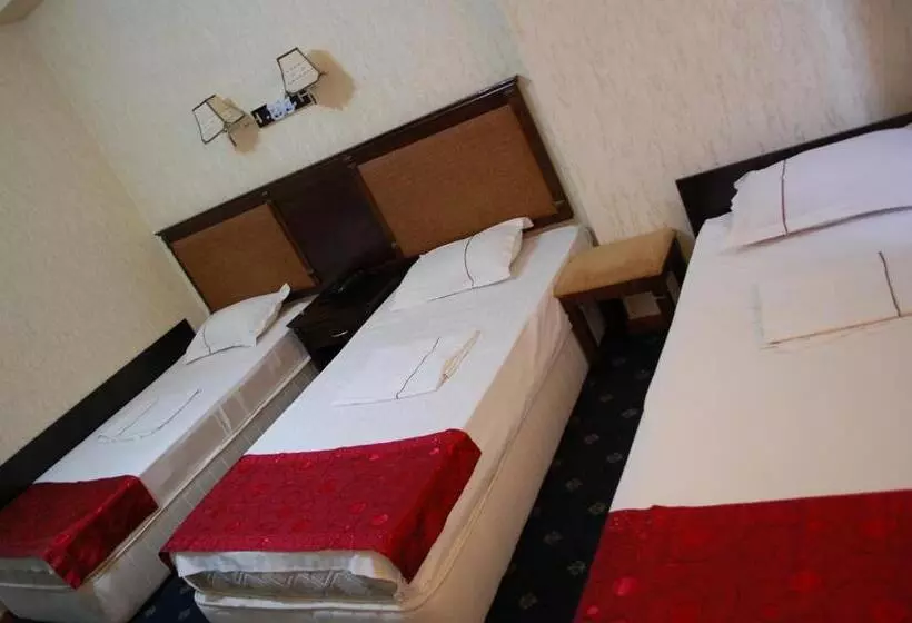 Fotos del hotel Consul:  4