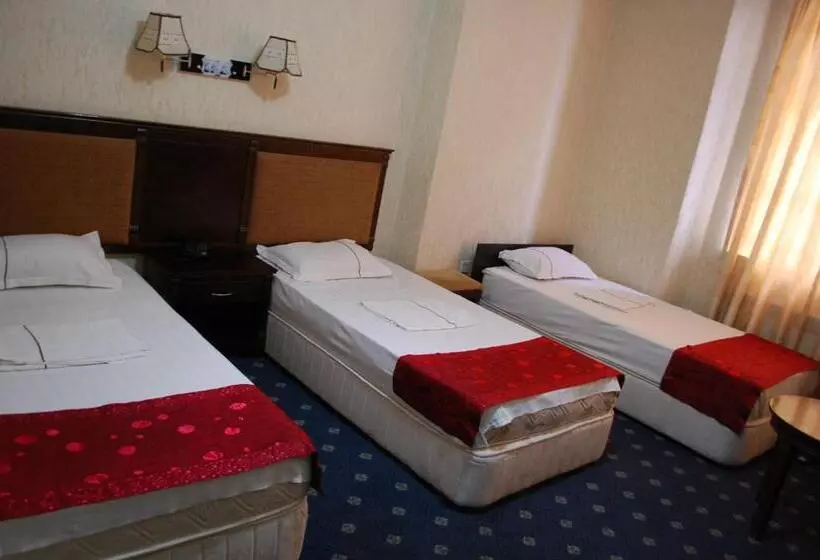 Fotos del hotel Consul:  18