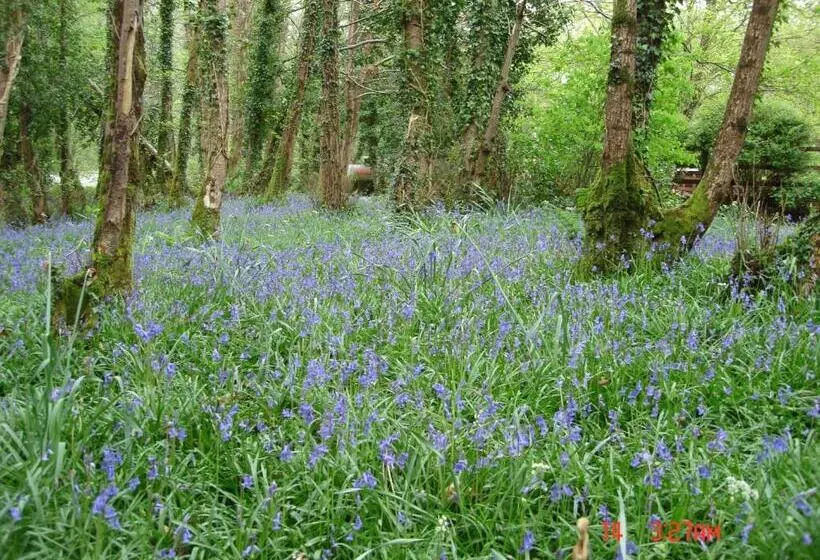 Fotos del hotel Gleann Fia Country House:  14