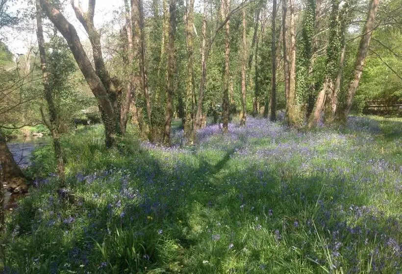 Fotos del hotel Gleann Fia Country House:  22