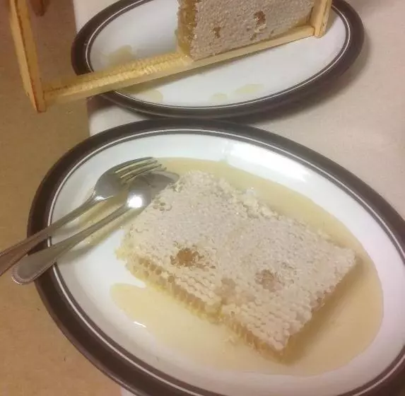 Fotos del hotel Gleann Fia Country House:  4