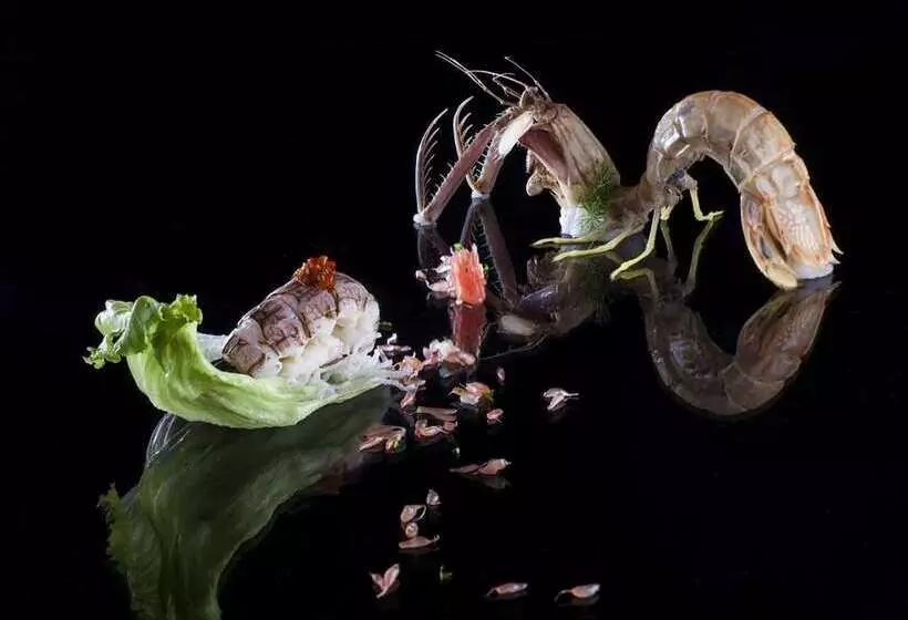 Fotos del hotel Hilton Zhengzhou:  16