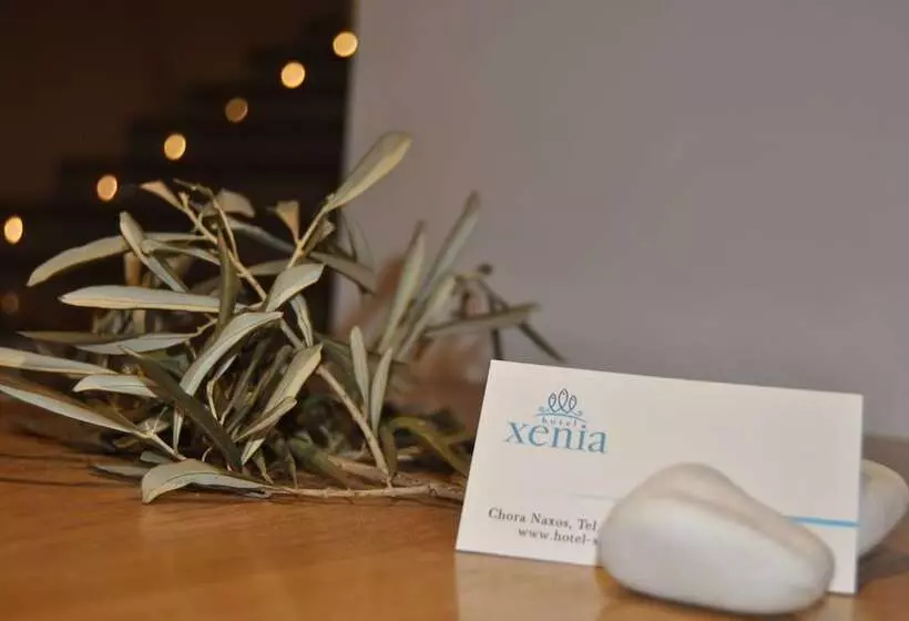 Fotos del hotel Xenia:  12
