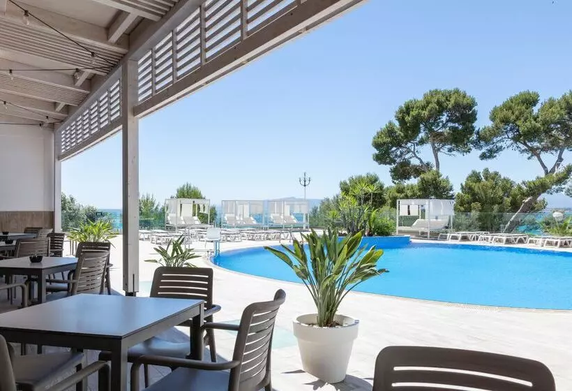 Fotos del hotel Best Punta Dorada:  67