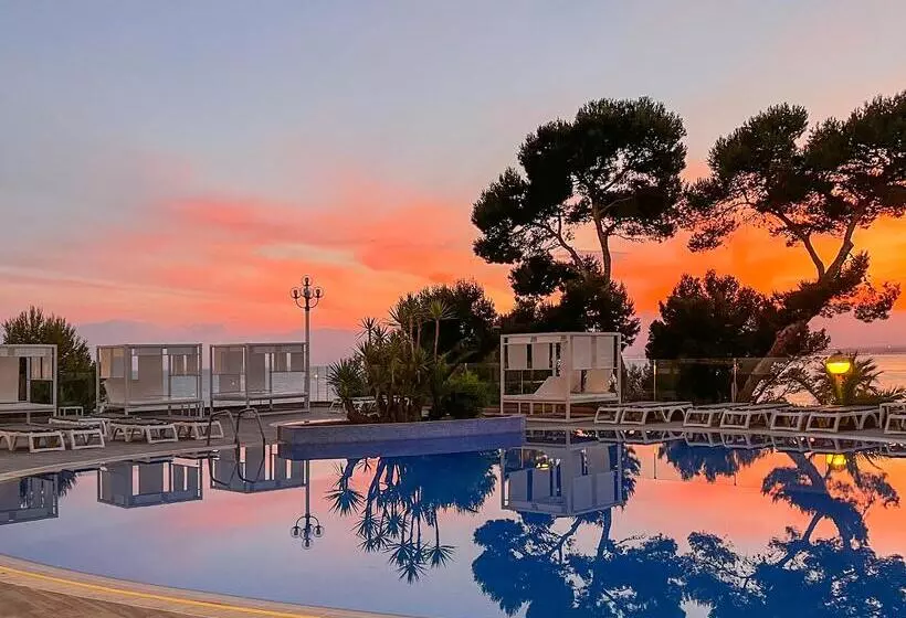 Fotos del hotel Best Punta Dorada:  49