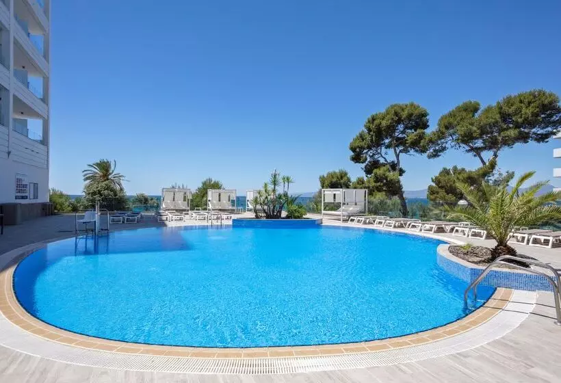 Fotos del hotel Best Punta Dorada:  25