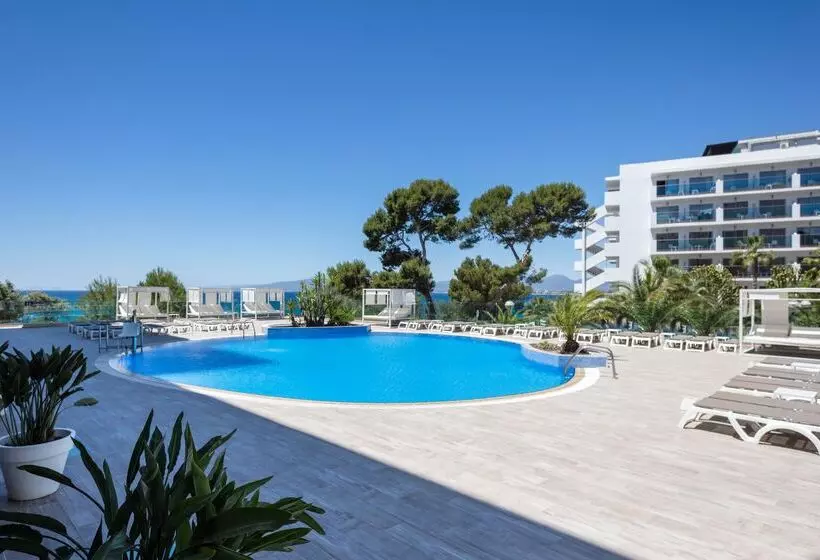 Fotos del hotel Best Punta Dorada:  42