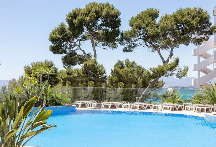 Fotos del hotel Best Punta Dorada:  57