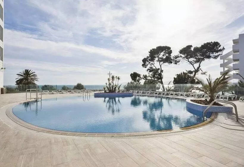 Fotos del hotel Best Punta Dorada:  59