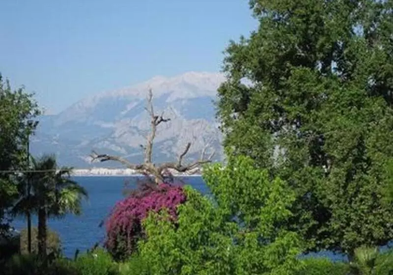 Fotos del hotel Blue Sea Garden:  7