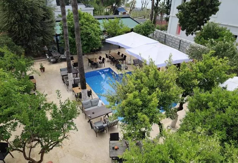 Fotos del hotel Blue Sea Garden:  18