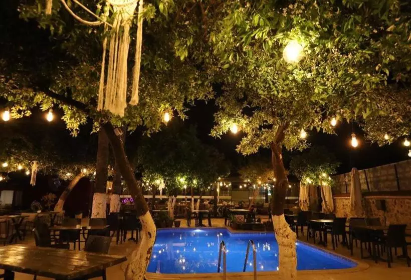 Fotos del hotel Blue Sea Garden:  15