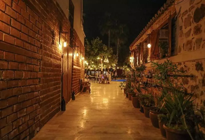 Fotos del hotel Blue Sea Garden:  21