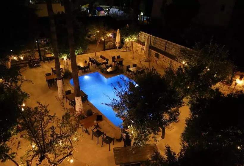 Fotos del hotel Blue Sea Garden:  13