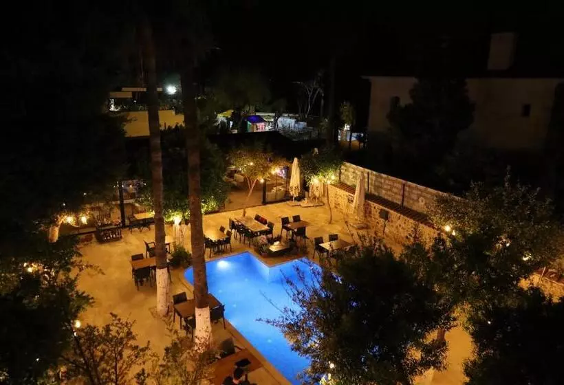 Fotos del hotel Blue Sea Garden:  11