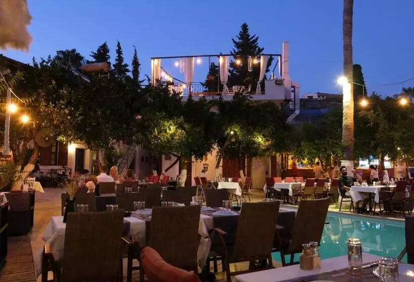 Fotos del hotel Blue Sea Garden:  24