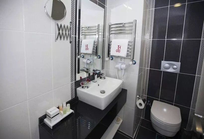 Fotos del hotel Dream Bosphorus:  7