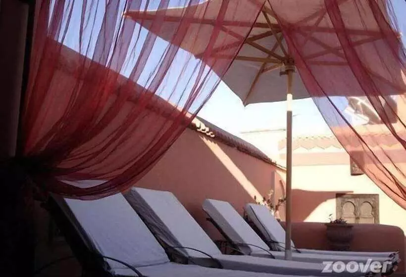 Fotos del hotel Dar Narjis:  22