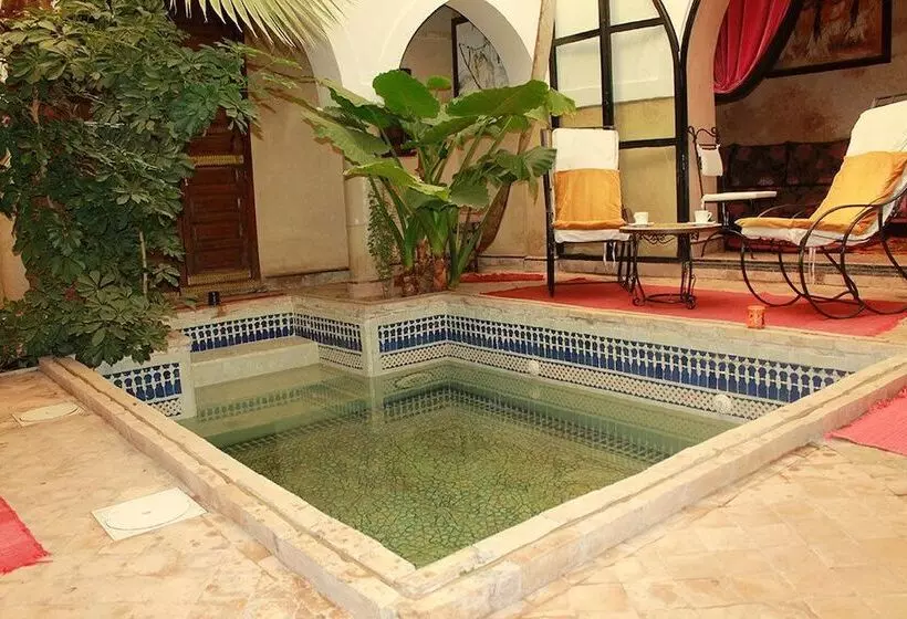 Fotos del hotel Dar Narjis:  6