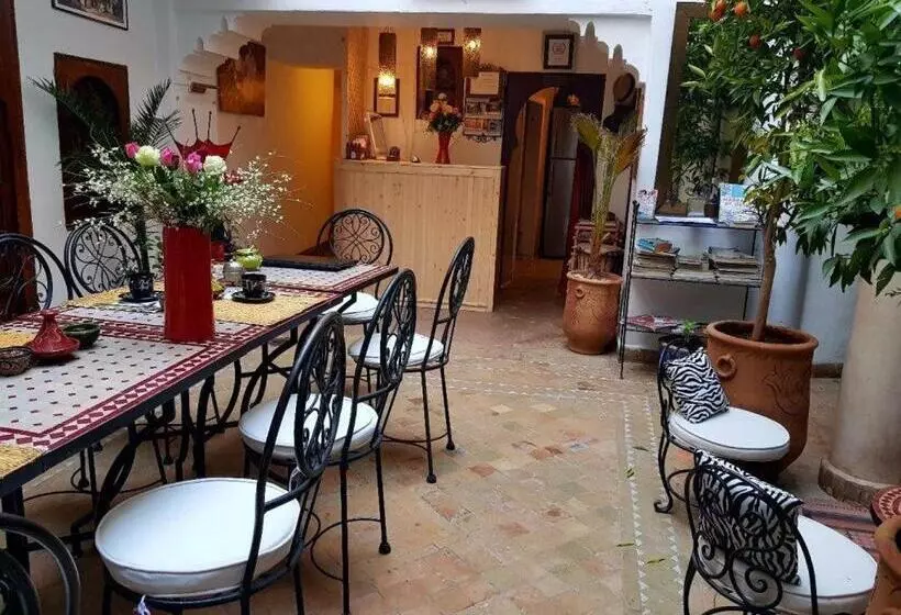 Fotos del hotel Dar Narjis:  24