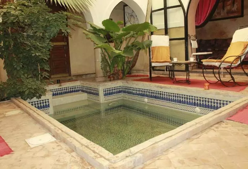 Fotos del hotel Dar Narjis:  10