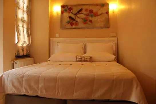 Fotos del hotel Elma Ottoman Palace:  12