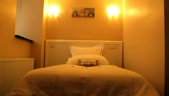 Fotos del hotel Elma Ottoman Palace:  9