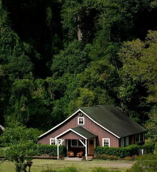 Fotos del hotel Finca Lerida Coffee Plantation And Boutique:  4