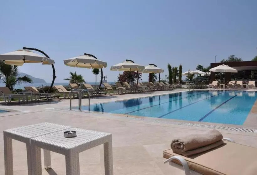 Fotos del hotel Turiya:  17