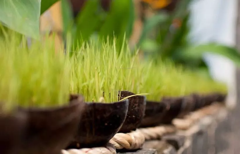 Fotos del hotel Eden Resort Phu Quoc:  7