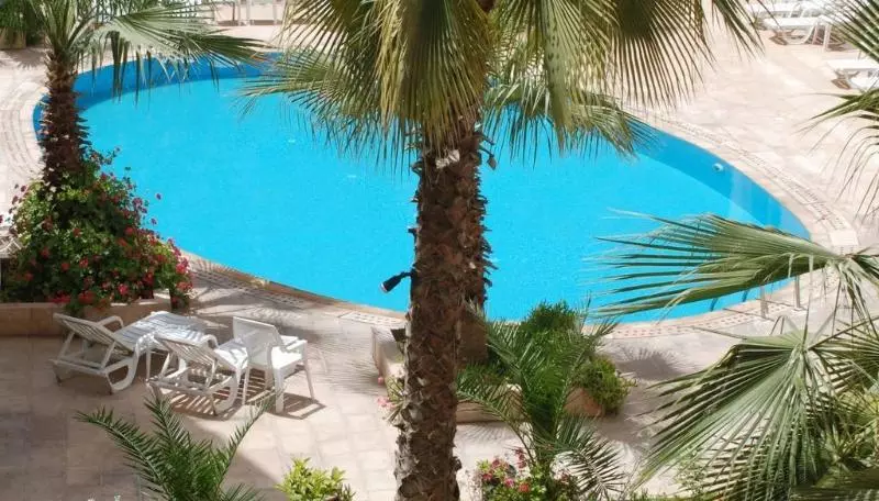 Fotos del hotel Petra Palace:  14