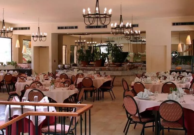 Fotos del hotel Petra Palace:  12