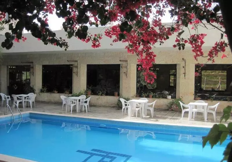 Fotos del hotel Petra Palace:  21