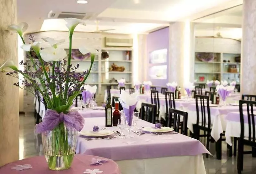 Fotos del hotel Ambra:  5