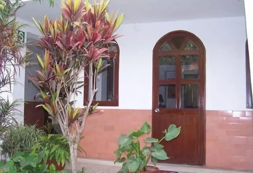 Fotos del hotel Hostal Las Palmeras Inn:  4