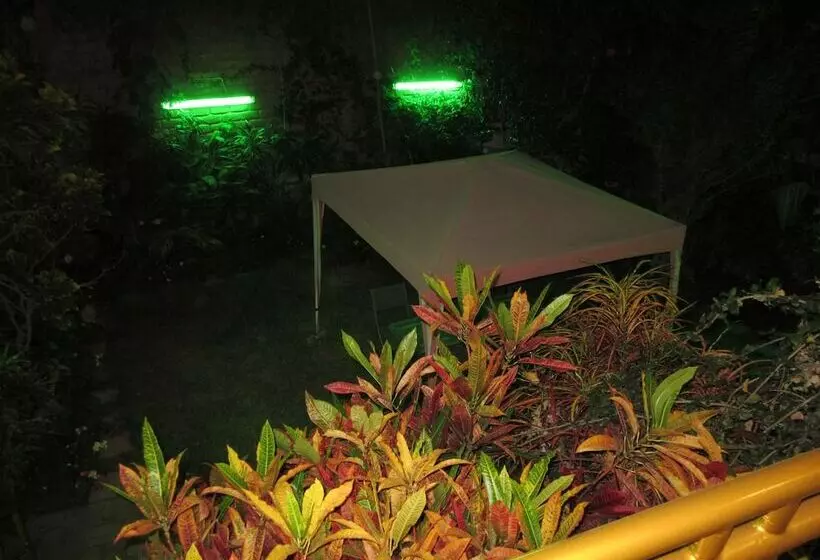 Fotos del hotel Hostal Las Palmeras Inn:  8