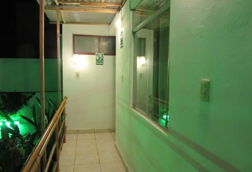 Hostal Las Palmeras Inn