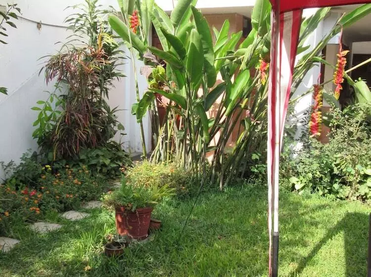 Fotos del hotel Hostal Las Palmeras Inn:  7