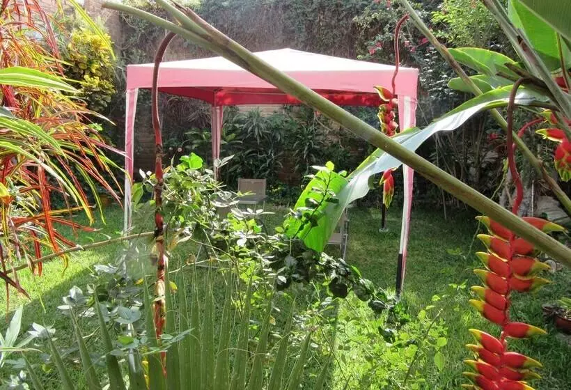 Fotos del hotel Hostal Las Palmeras Inn:  3