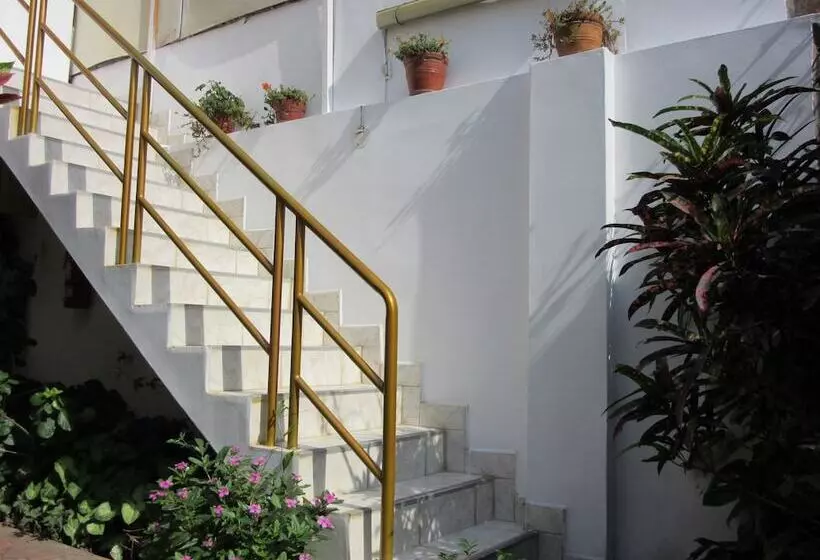 Fotos del hotel Hostal Las Palmeras Inn:  10