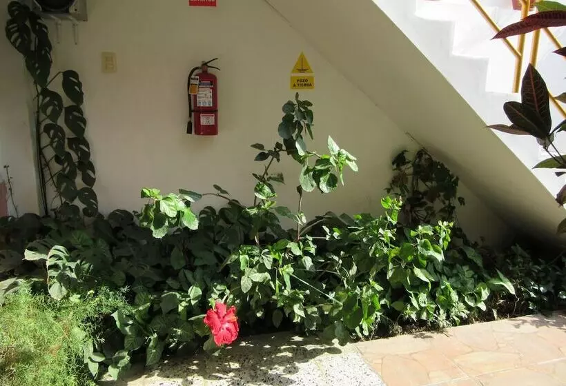 Fotos del hotel Hostal Las Palmeras Inn:  11