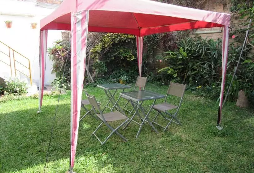 Fotos del hotel Hostal Las Palmeras Inn:  12