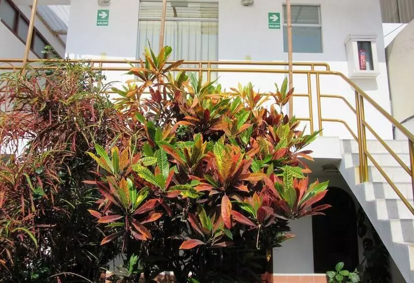 Fotos del hotel Hostal Las Palmeras Inn:  9