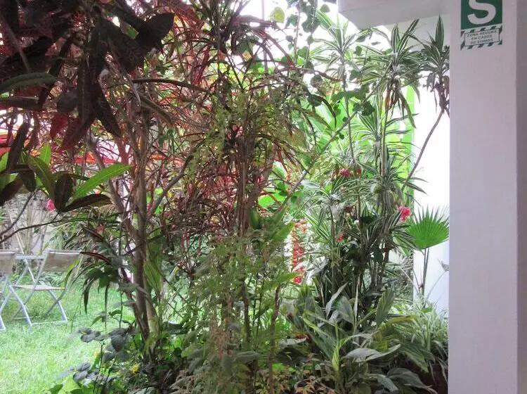 Fotos del hotel Hostal Las Palmeras Inn:  6