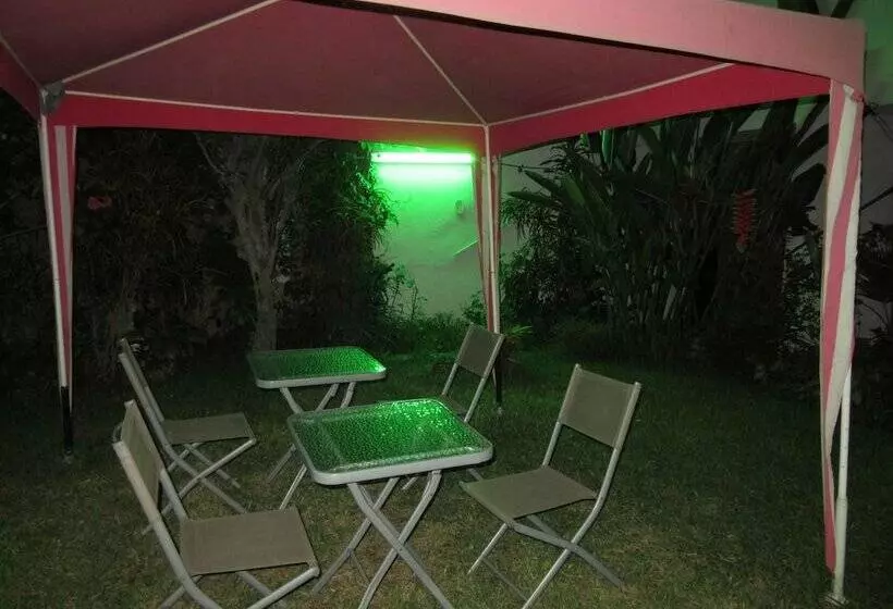 Fotos del hotel Hostal Las Palmeras Inn:  15